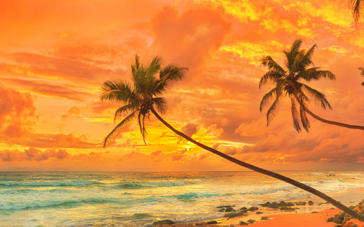 1076524 (a): :2880x1800